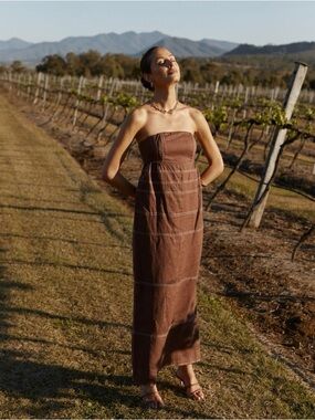 Dissh Chai Choc Strapless Panel Dress | size 6